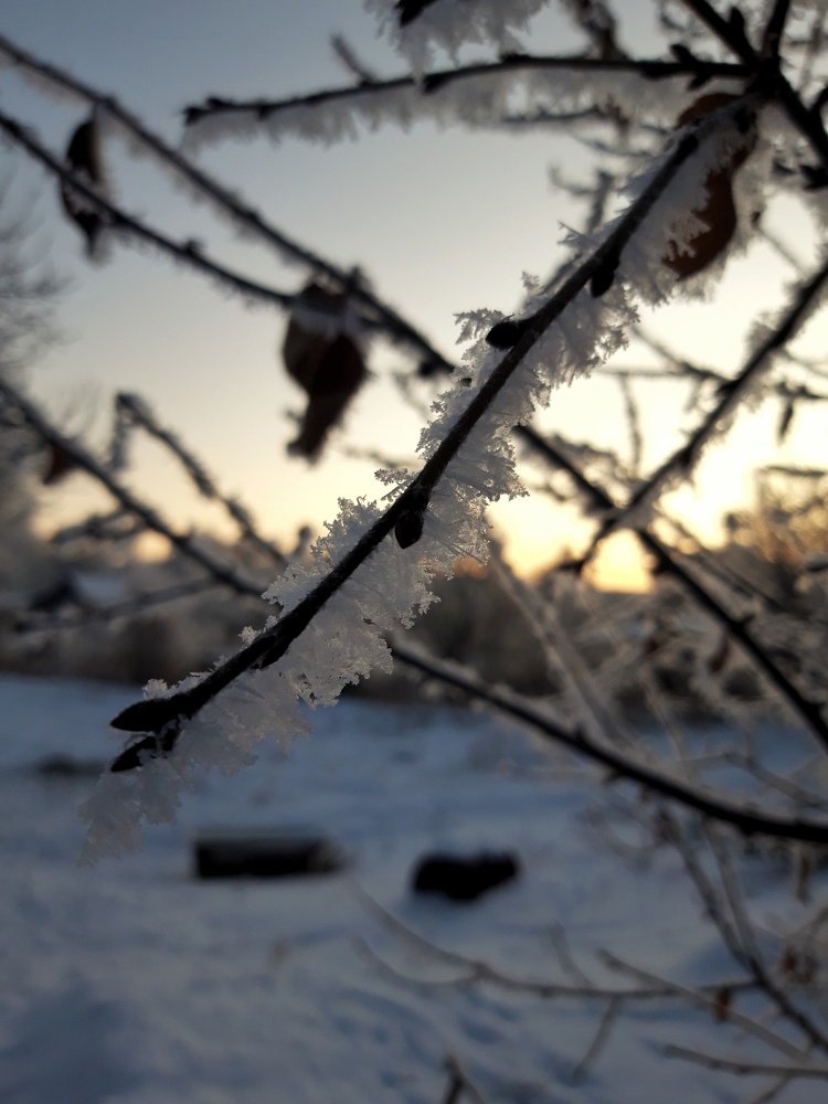 Photo #4025808