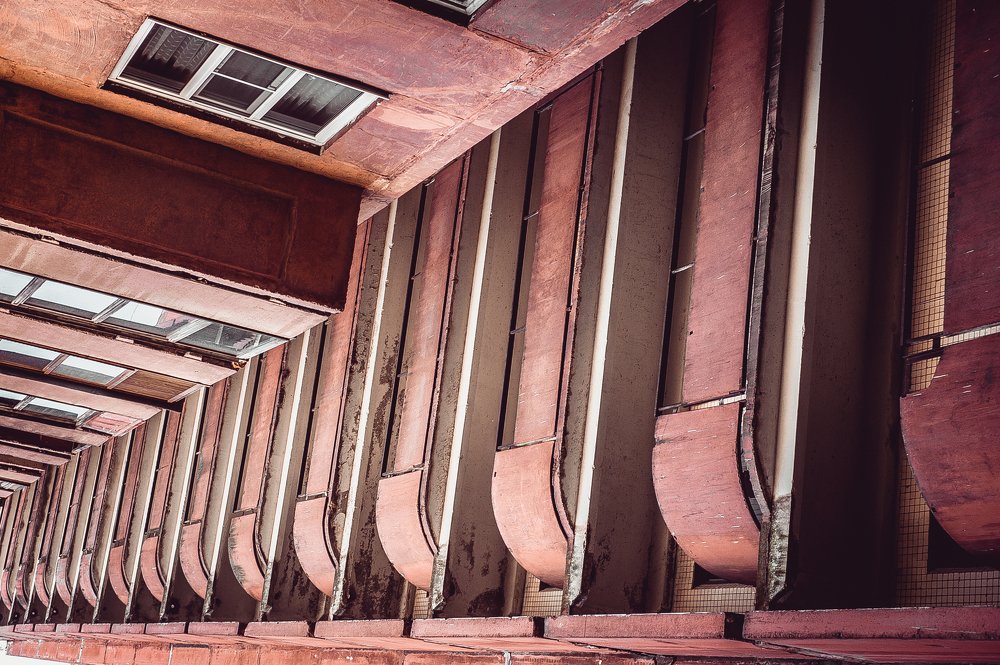 Photograph by Сафронова Любовь