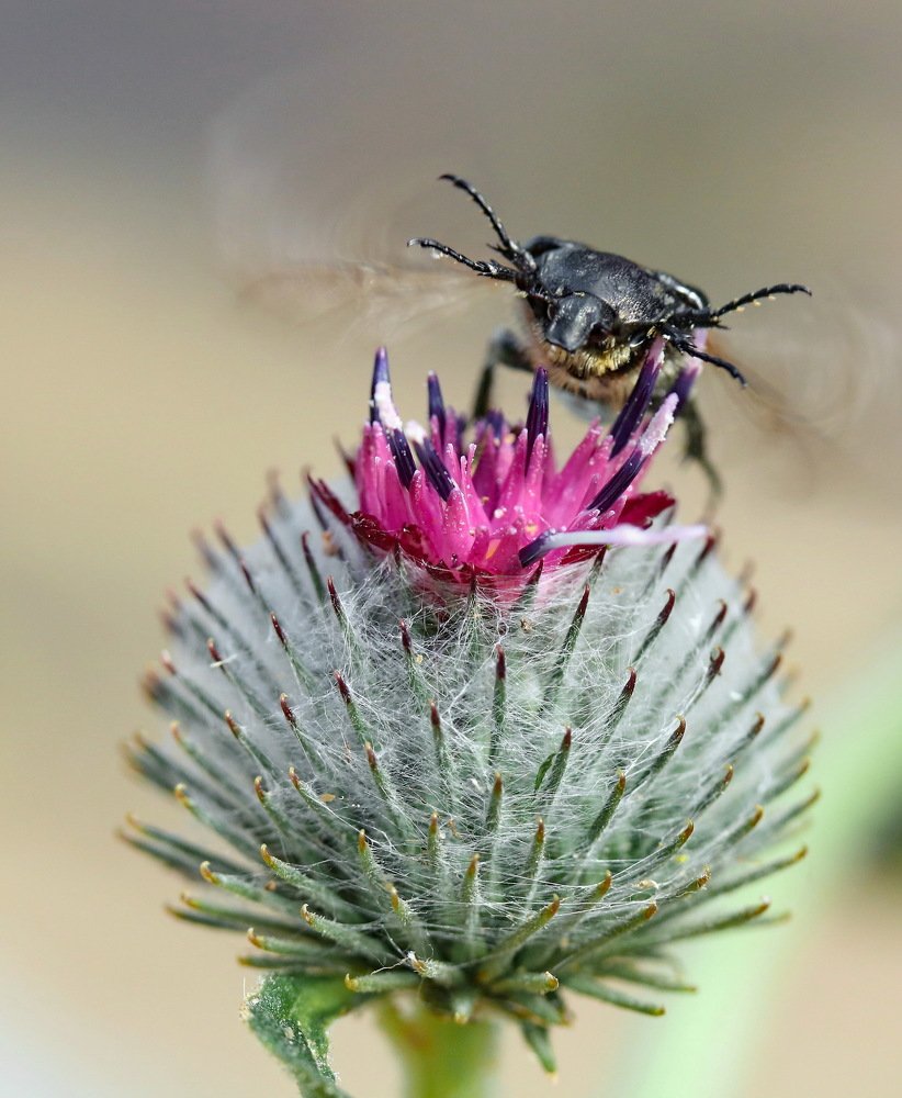 Photograph by Игорь Осипов