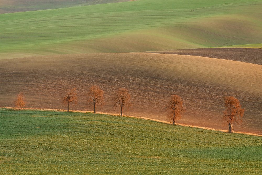 Photograph by Ivars Salmanis