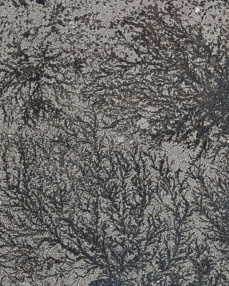 Photograph by Игорь