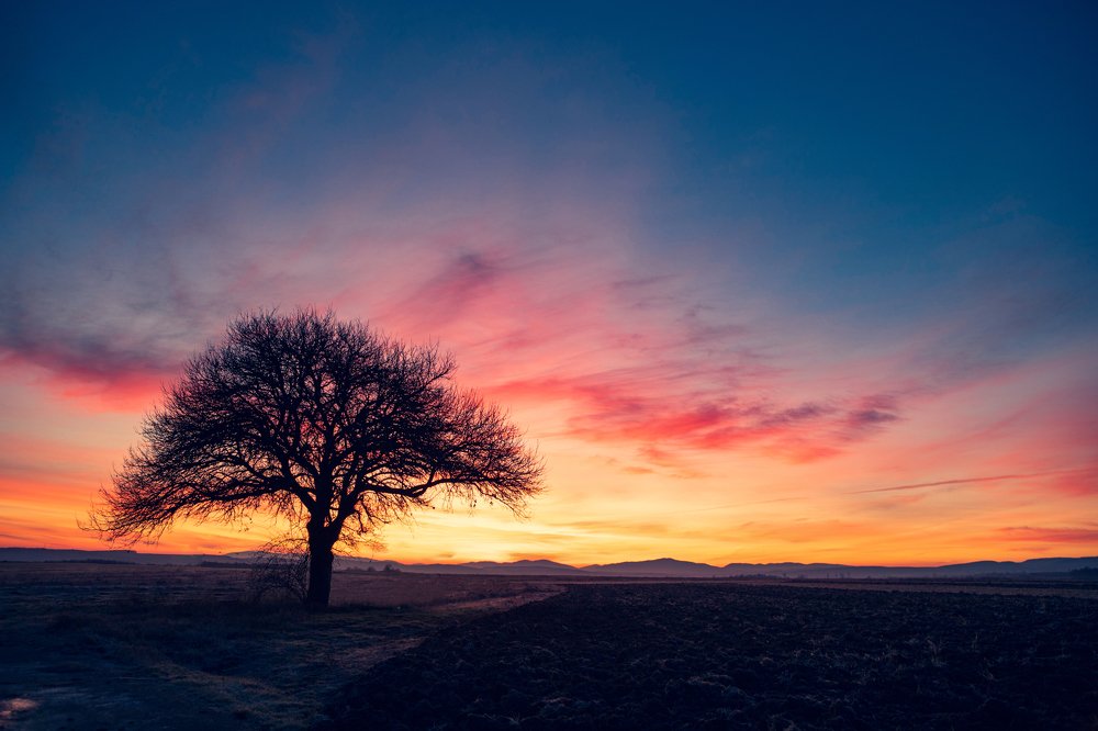 Photograph by Mihai Romeo Bogdan