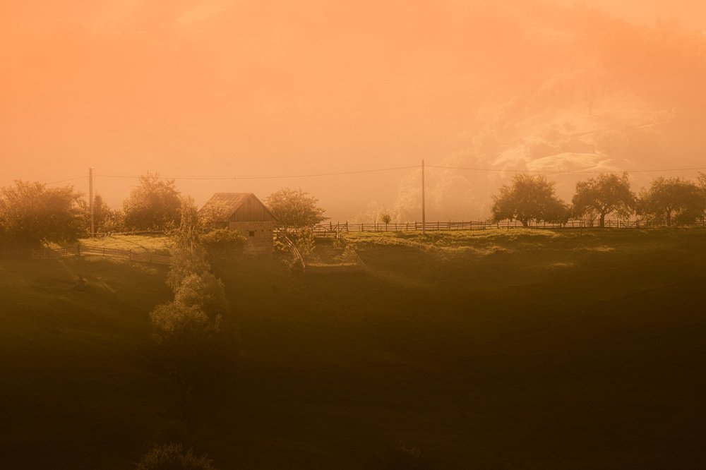 Photograph by Daria Virbanescu