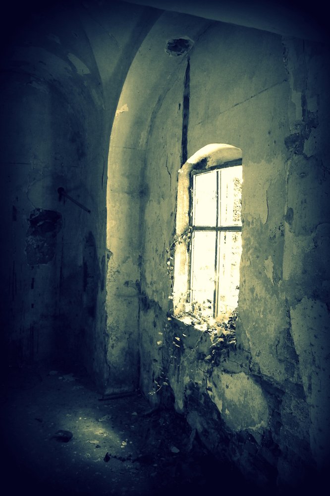 Photograph by Lucia K