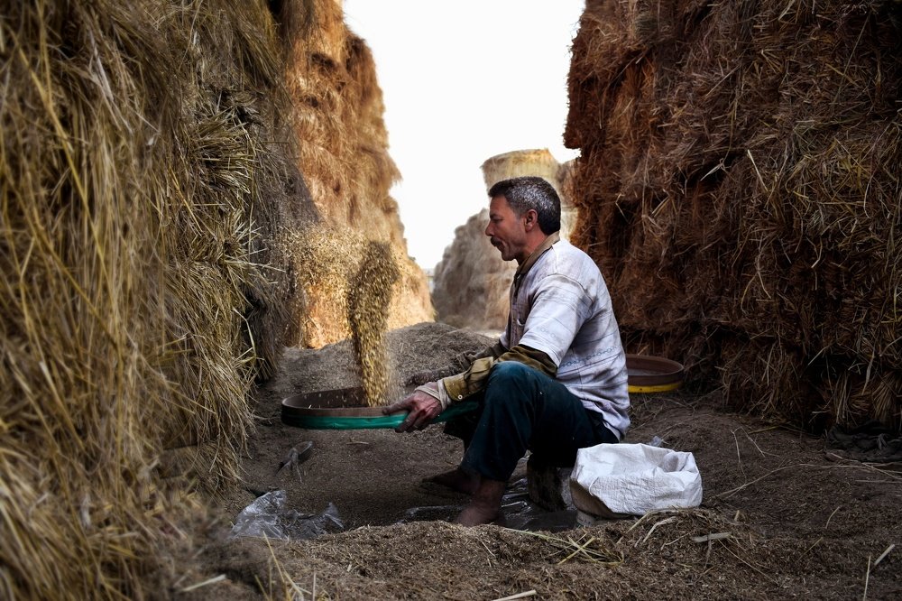 The ancient Egyptian