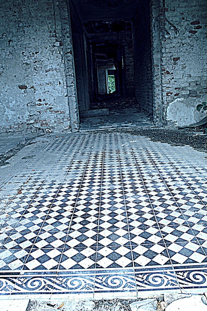 Photograph by Lucia K