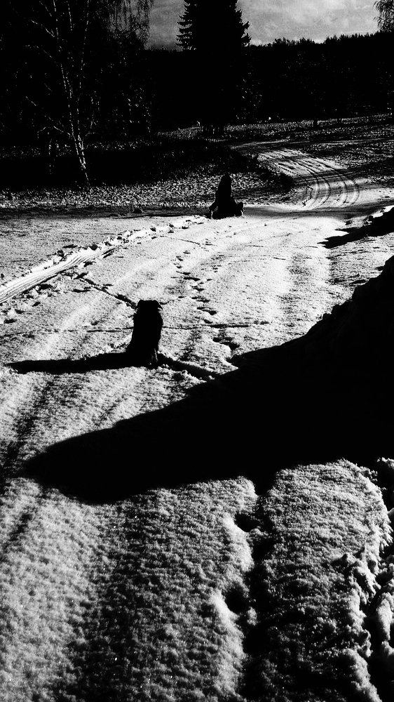 Photograph by Aigars Neļķe