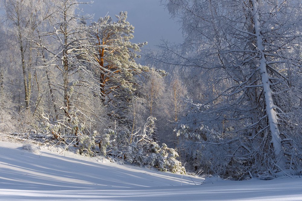 Photograph by Джазатор