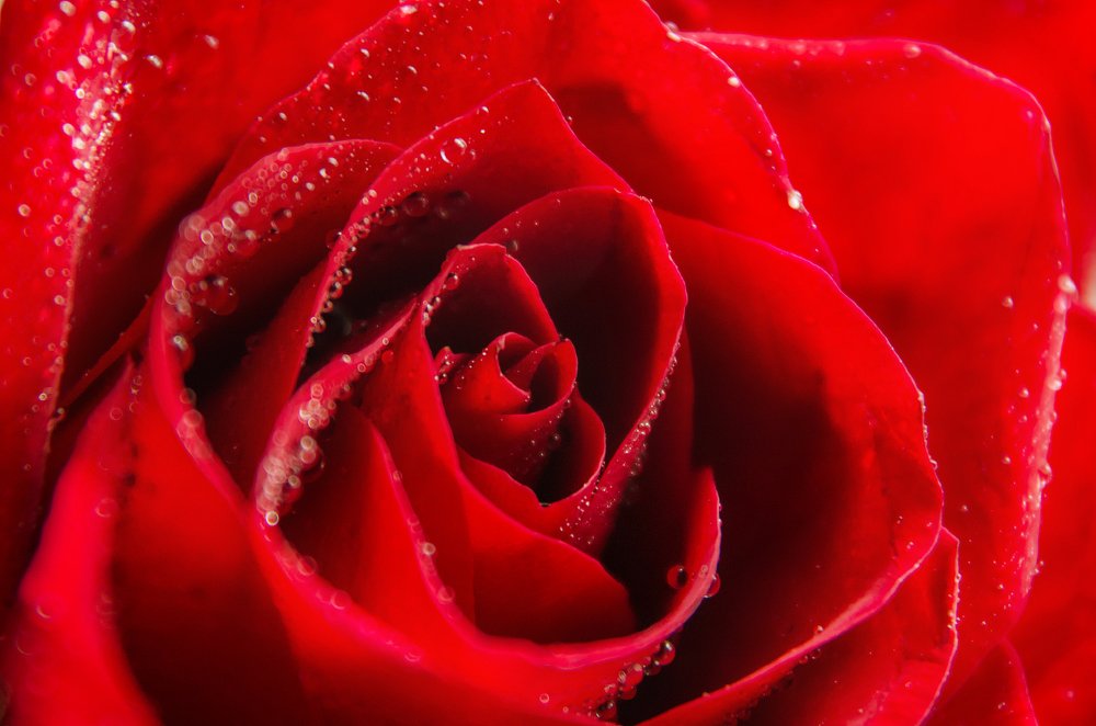 Фотография автора Майя Афзаал