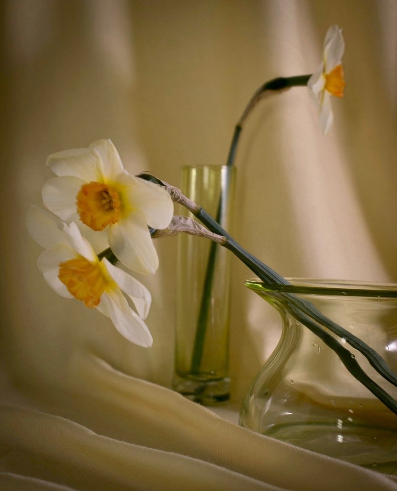 Photograph by Ruslana Tats