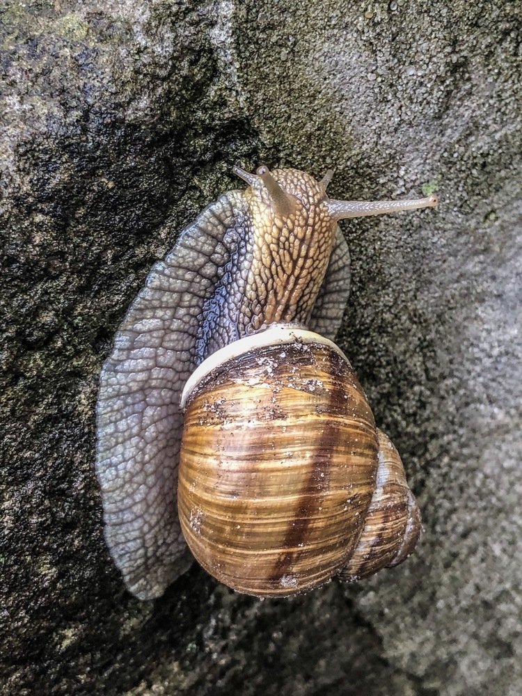 Photograph by Олег Бондаренко