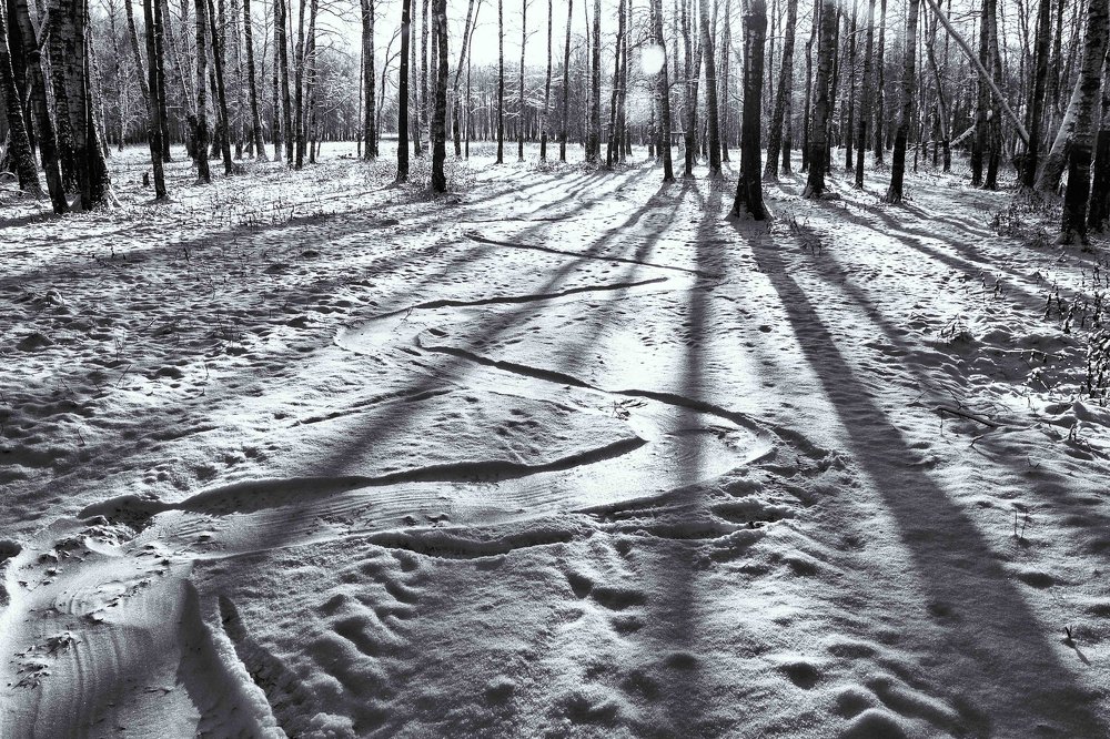 Морозные тени