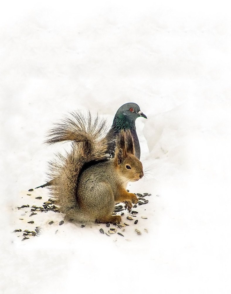 Photograph by Елена Белинская