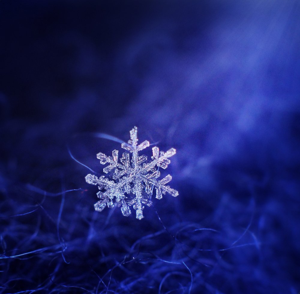 Photograph by Киркиш Ирина