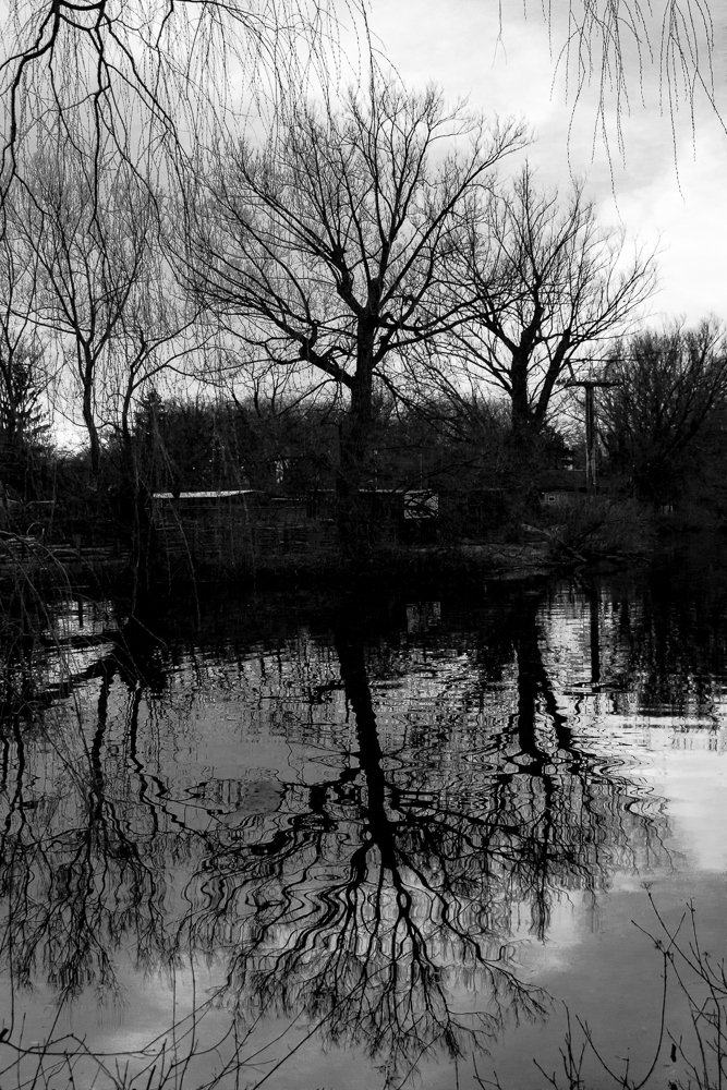 Photograph by Arthur Medeiros