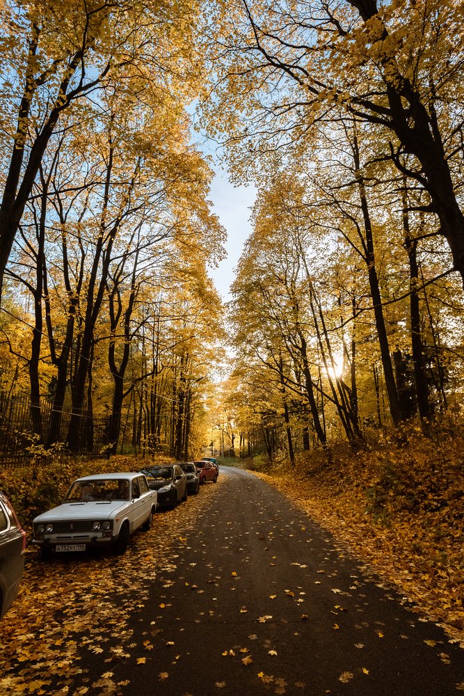 Photograph by Илькин Салимов