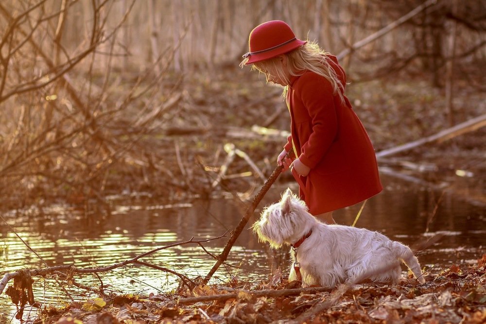 Photograph by Elena Makarova