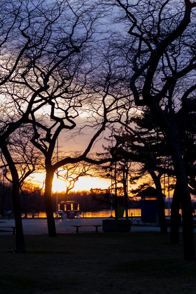 Photograph by Arthur Medeiros