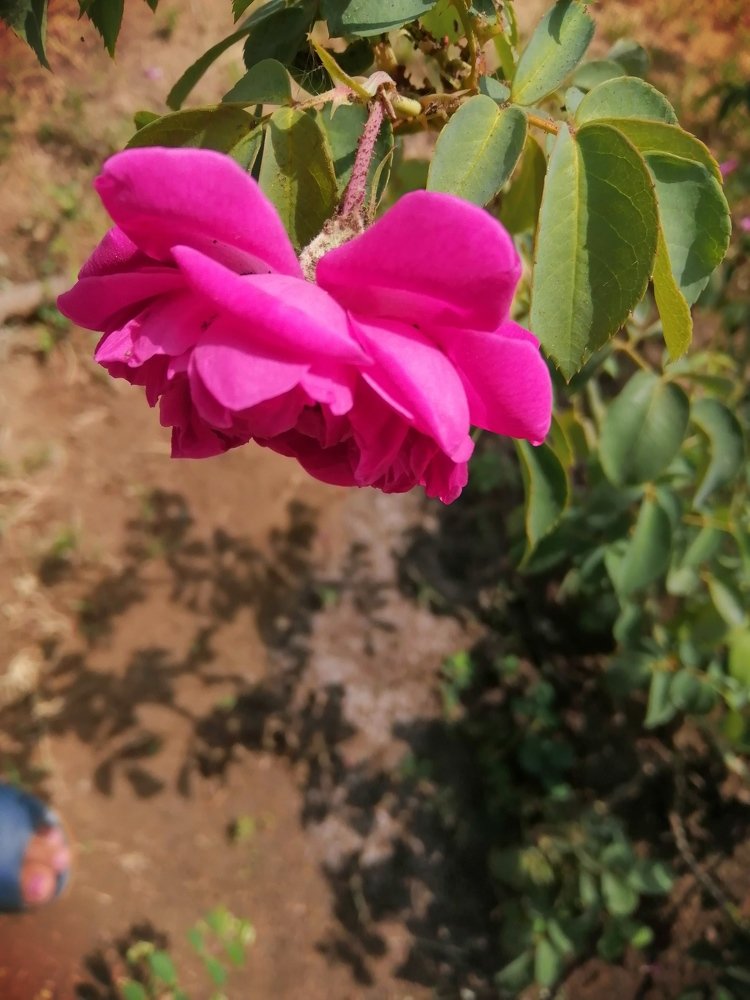 Photo #4026430