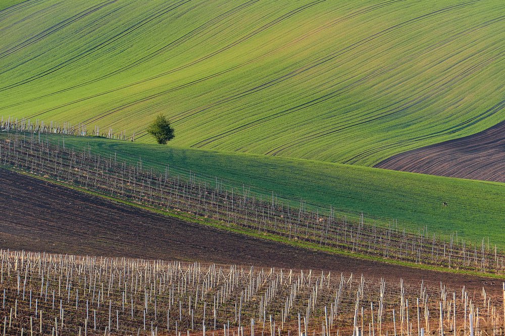 Photograph by Пётр Дедковский