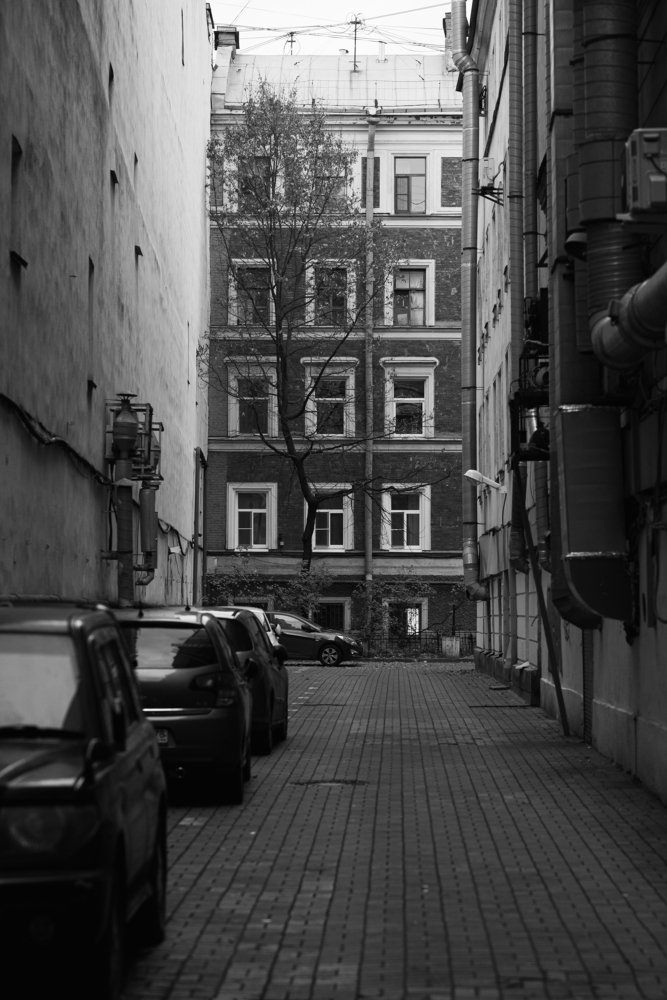 Photograph by Илькин Салимов