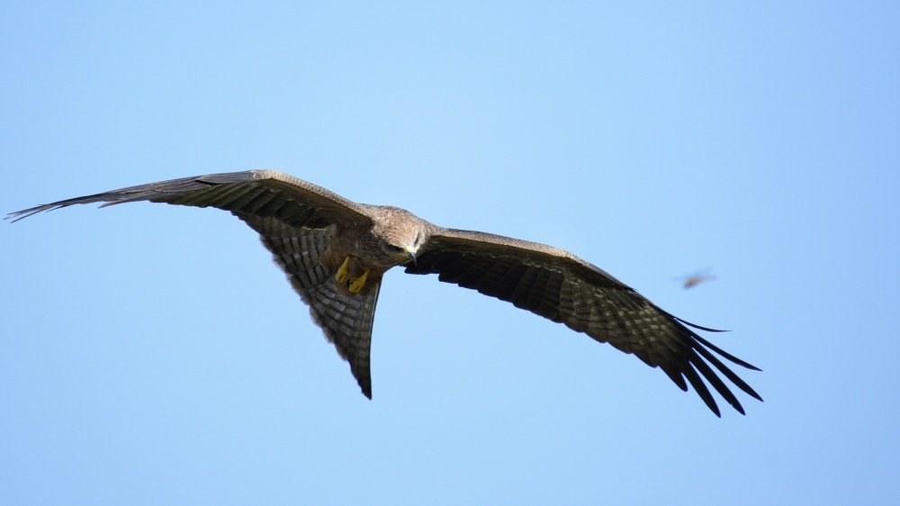 Photograph by Naga Bharath Vadla