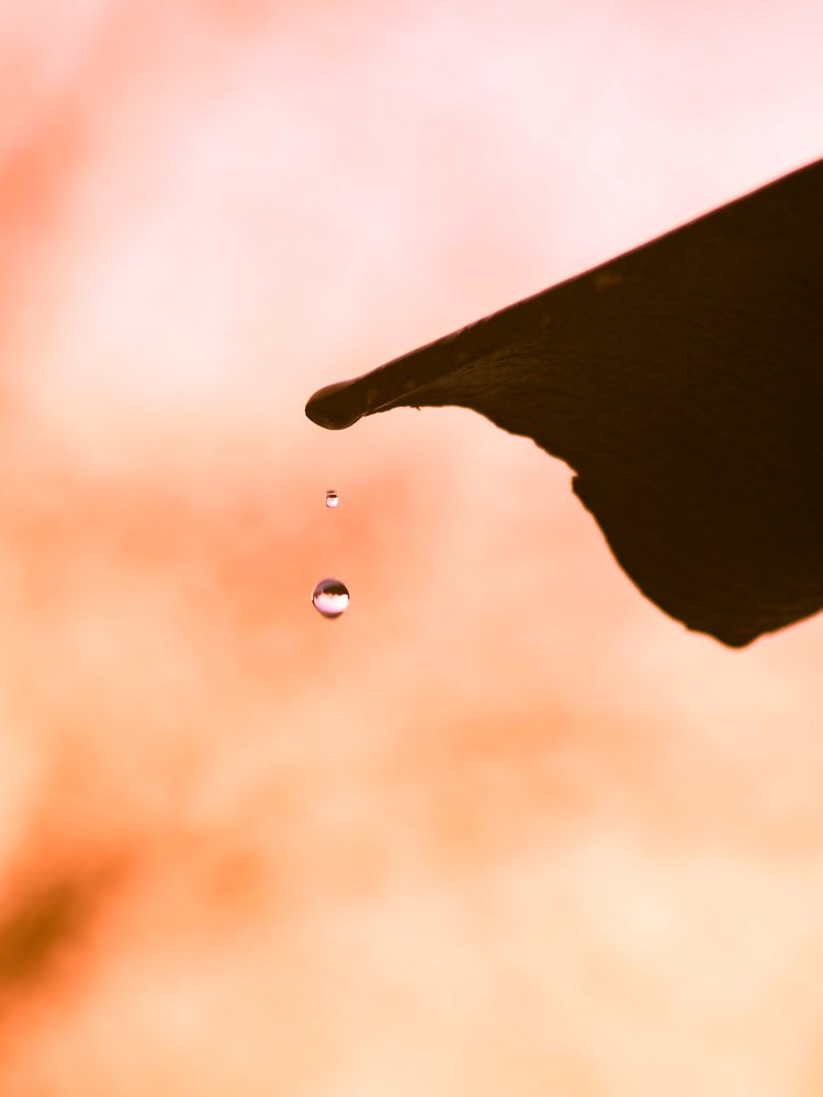 Photograph by Светлана Шибаршина