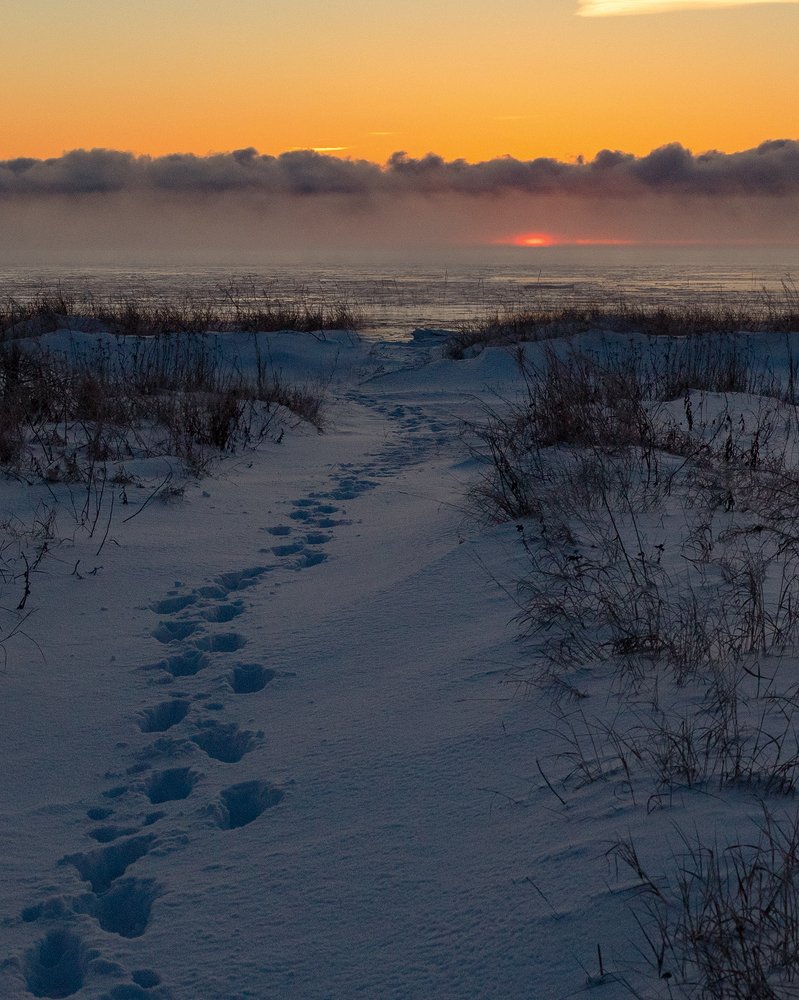 Photograph by Александр Лайкачев