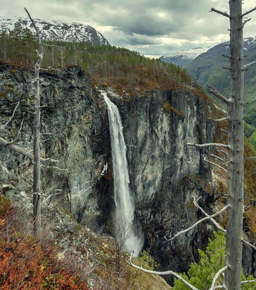 Photograph by Светлана Краюшкина