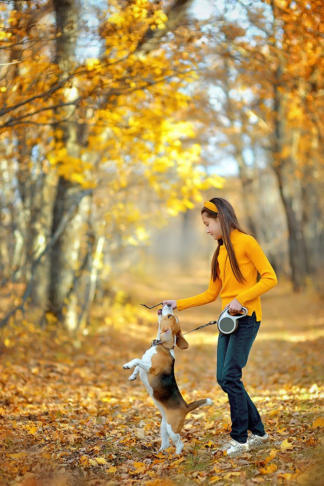 Photograph by Раевская Елена