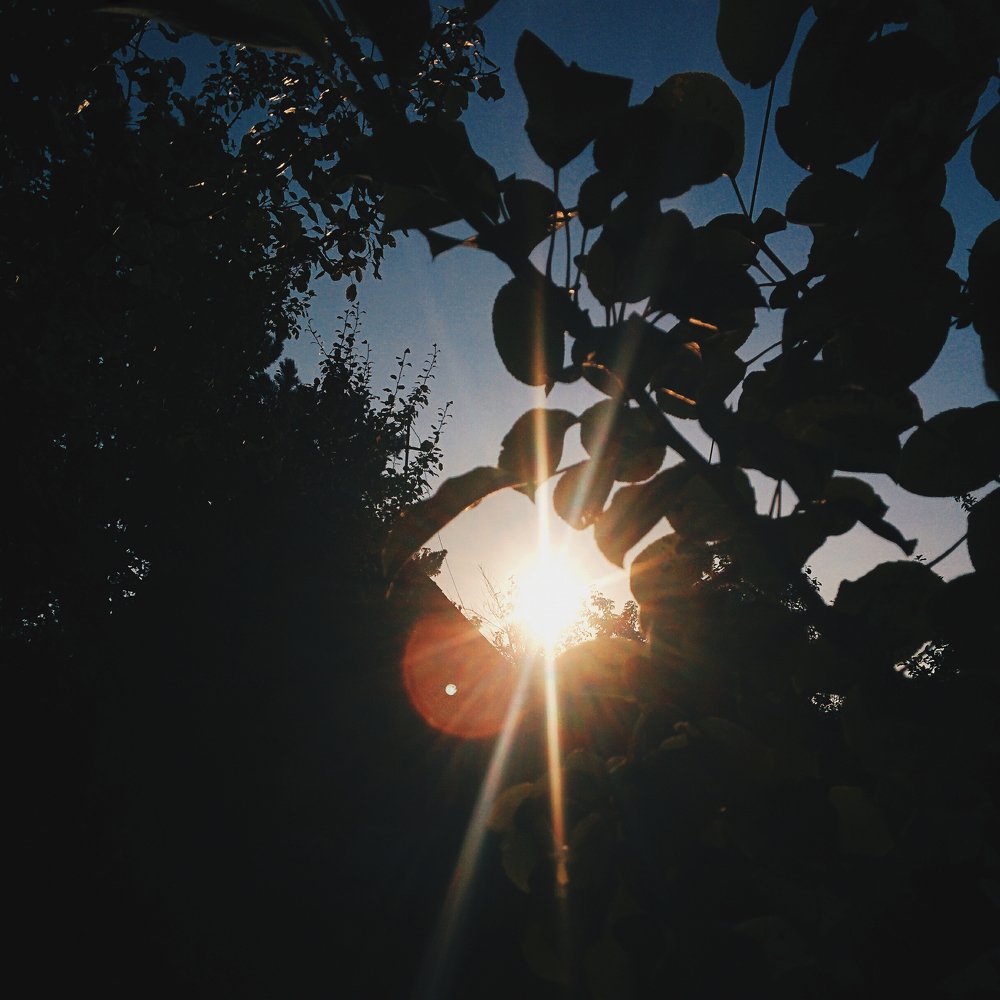 Photograph by baabushkina