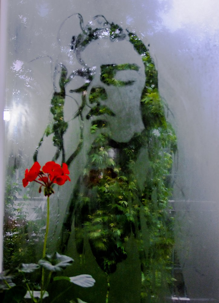 The role of a woman on the window glass