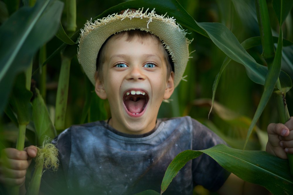 Фотография автора Мария Березина