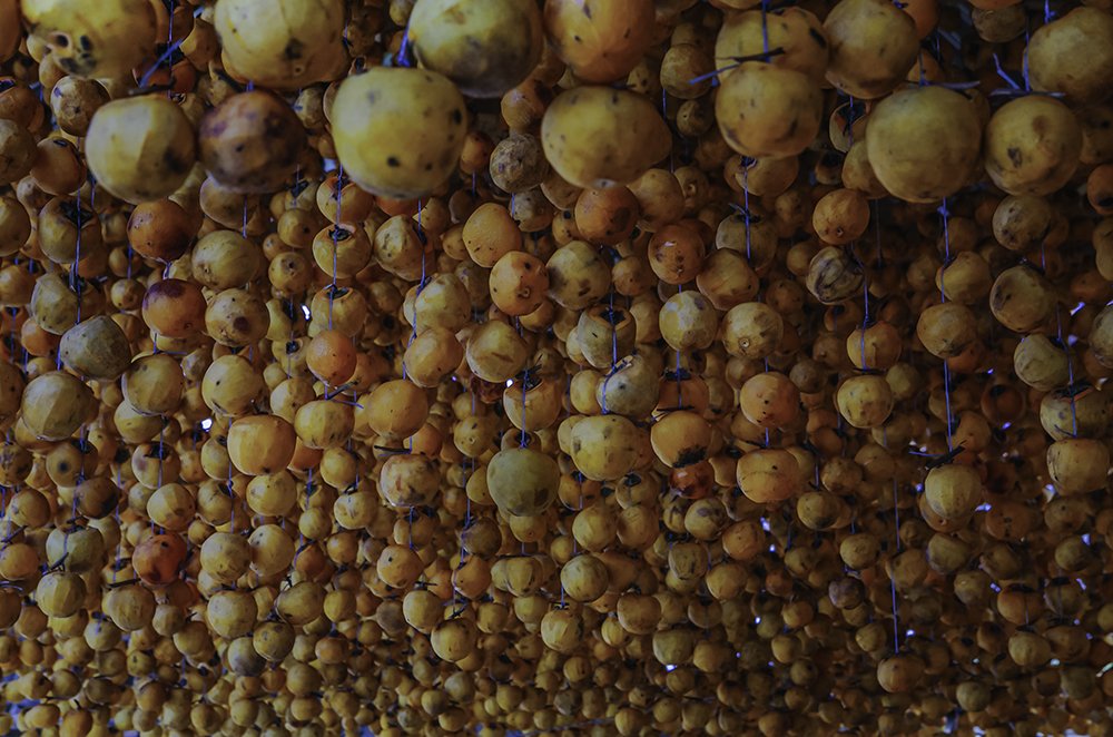 Photograph by Fargana Gasimli