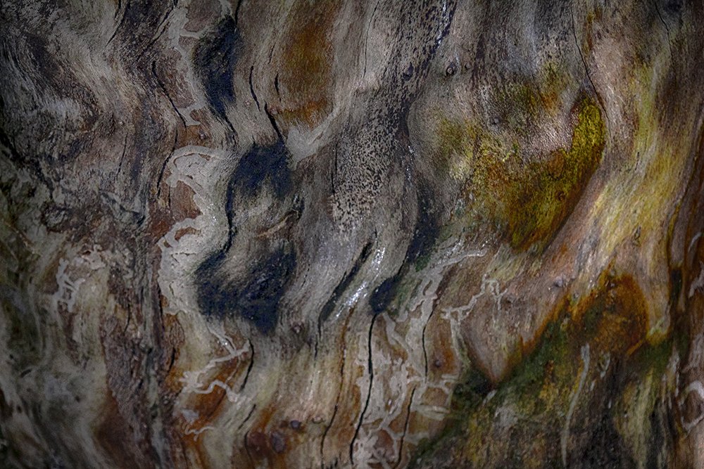 Photograph by Fargana Gasimli