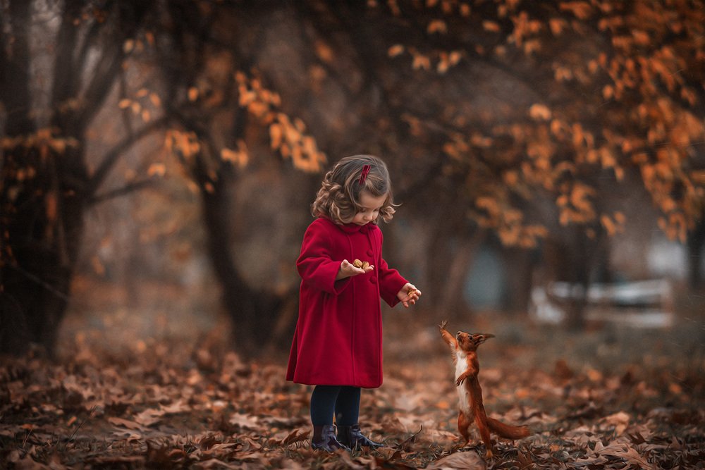 Photograph by Ильяс Джелялов