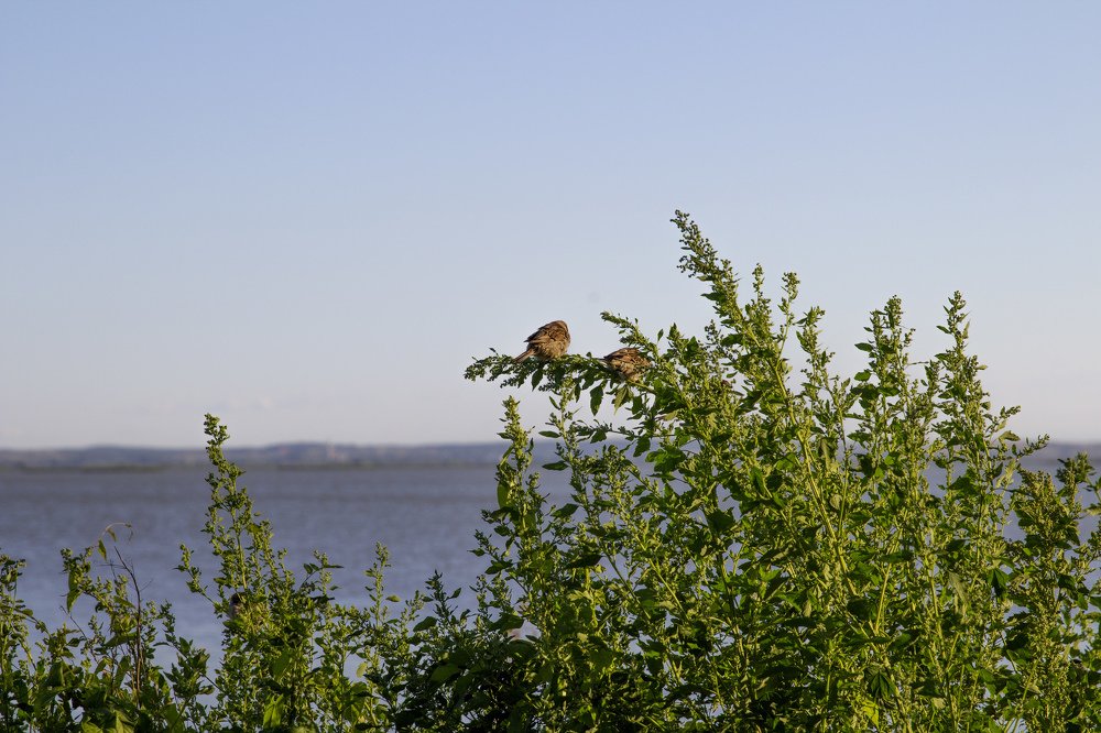 Photograph by Светлана Паренкова