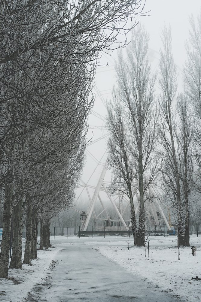 Photograph by Ирина Назарова