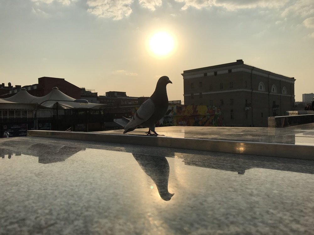 Фотография автора Климентий