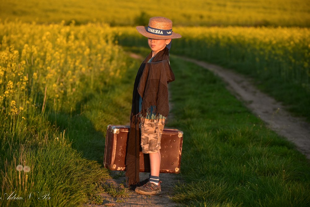 Photograph by PER Adrian Nicolae