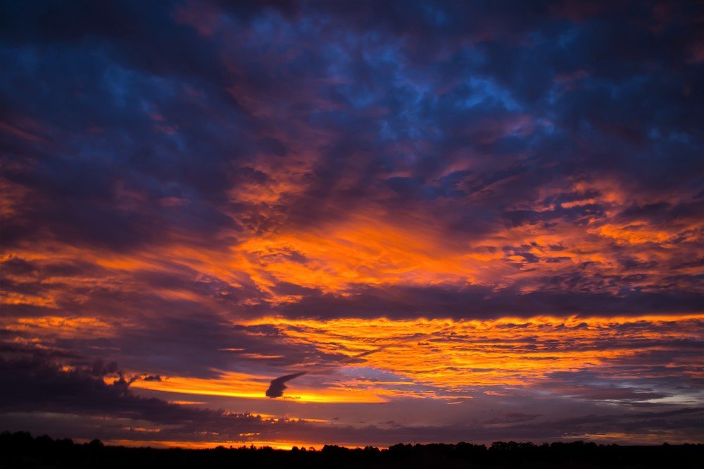 Photograph by christopher SEFTON-BELLION