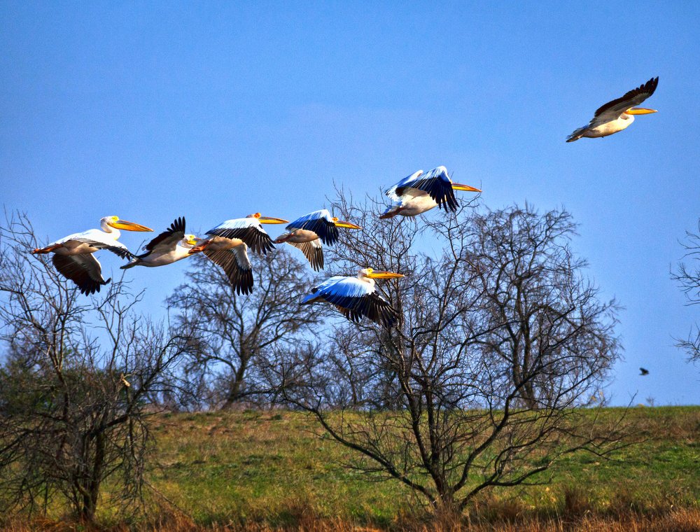 Photograph by Александр Стахорский