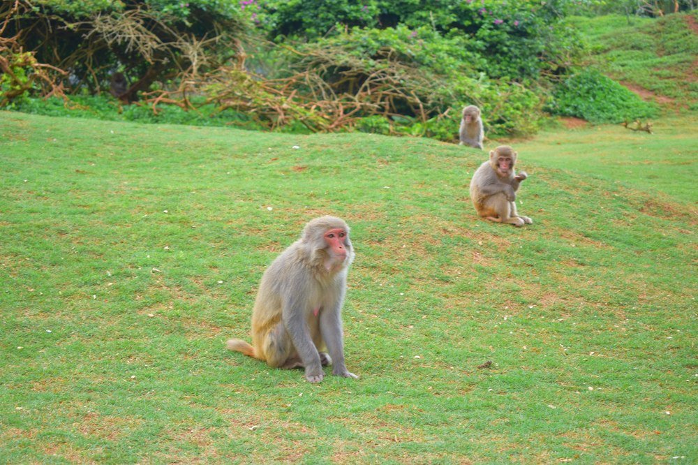 Фотография автора Марина Верина