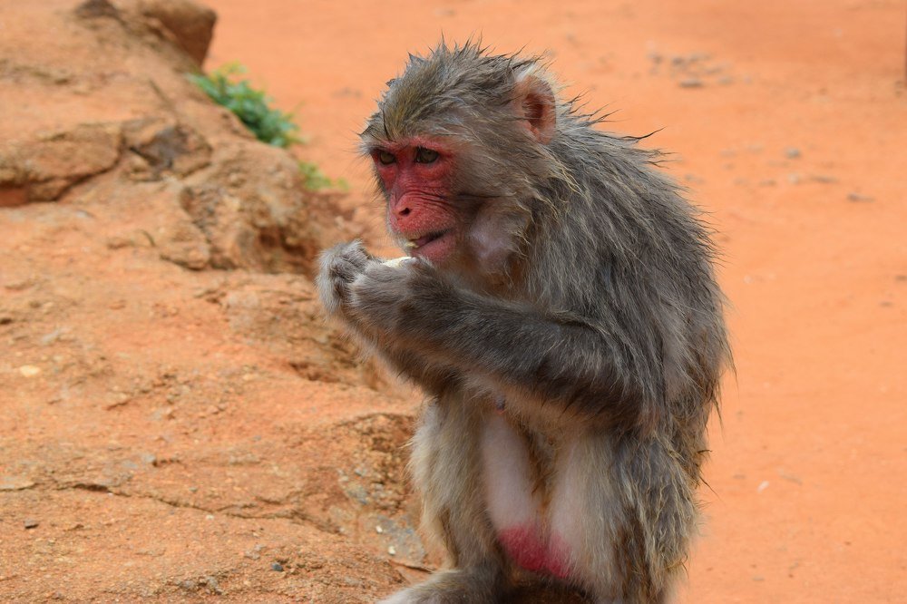 Фотография автора Марина Верина