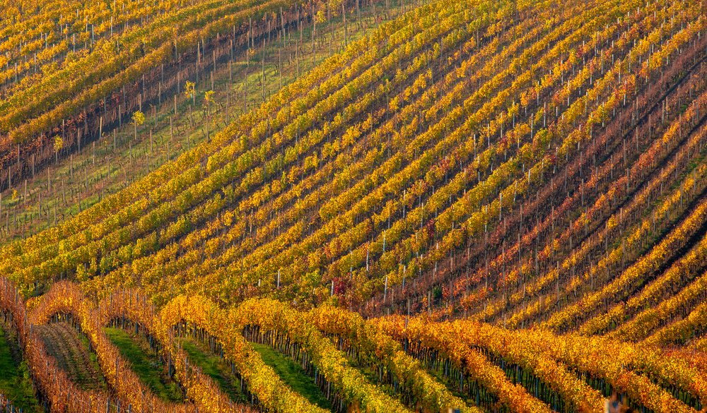 Photograph by Геннадий