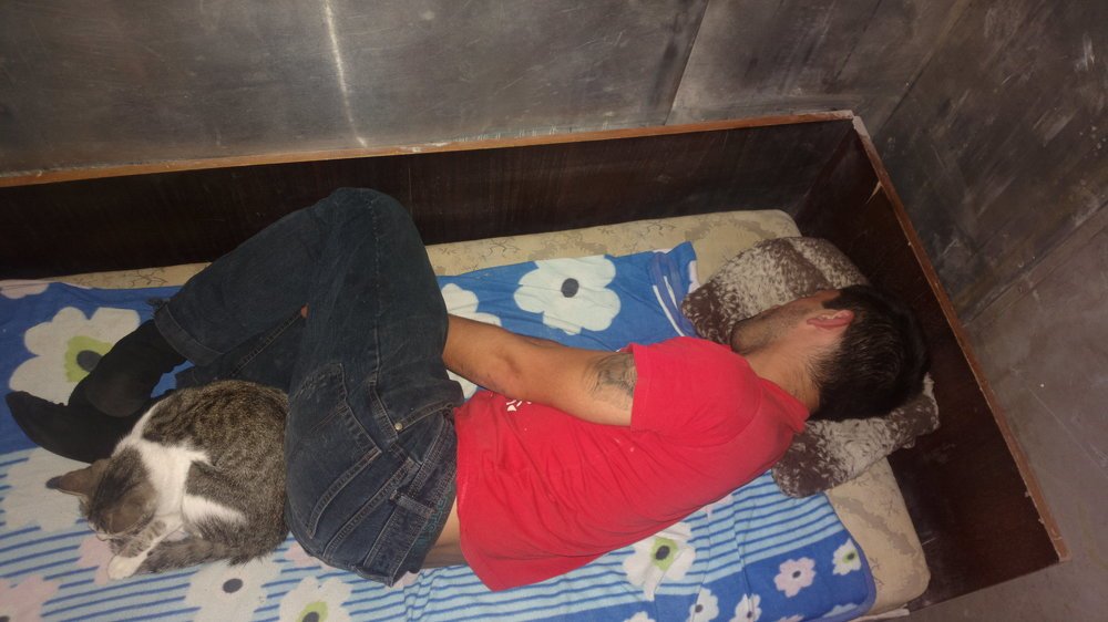 Photo #4027216