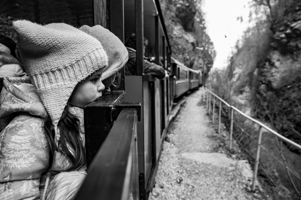 Мы едем, едем, едем