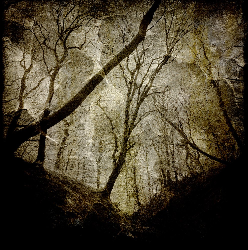 Photograph by Rene Roalf