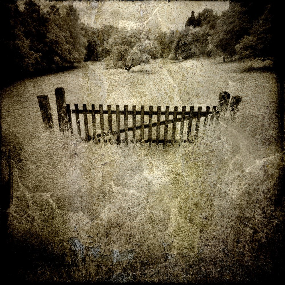 Photograph by Rene Roalf