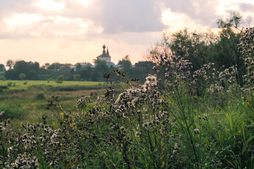 Вечерний Суздаль